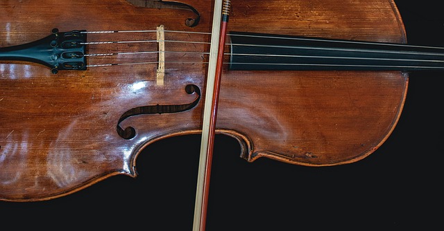 cello, music, instrument, violin, strings, viola, bass, classical music, violoncello, melody, musical, tumblr wallpaper, bow, string instrument, musical instrument, cello, cello, cello, cello, cello, violin, violin, viola, viola, violoncello