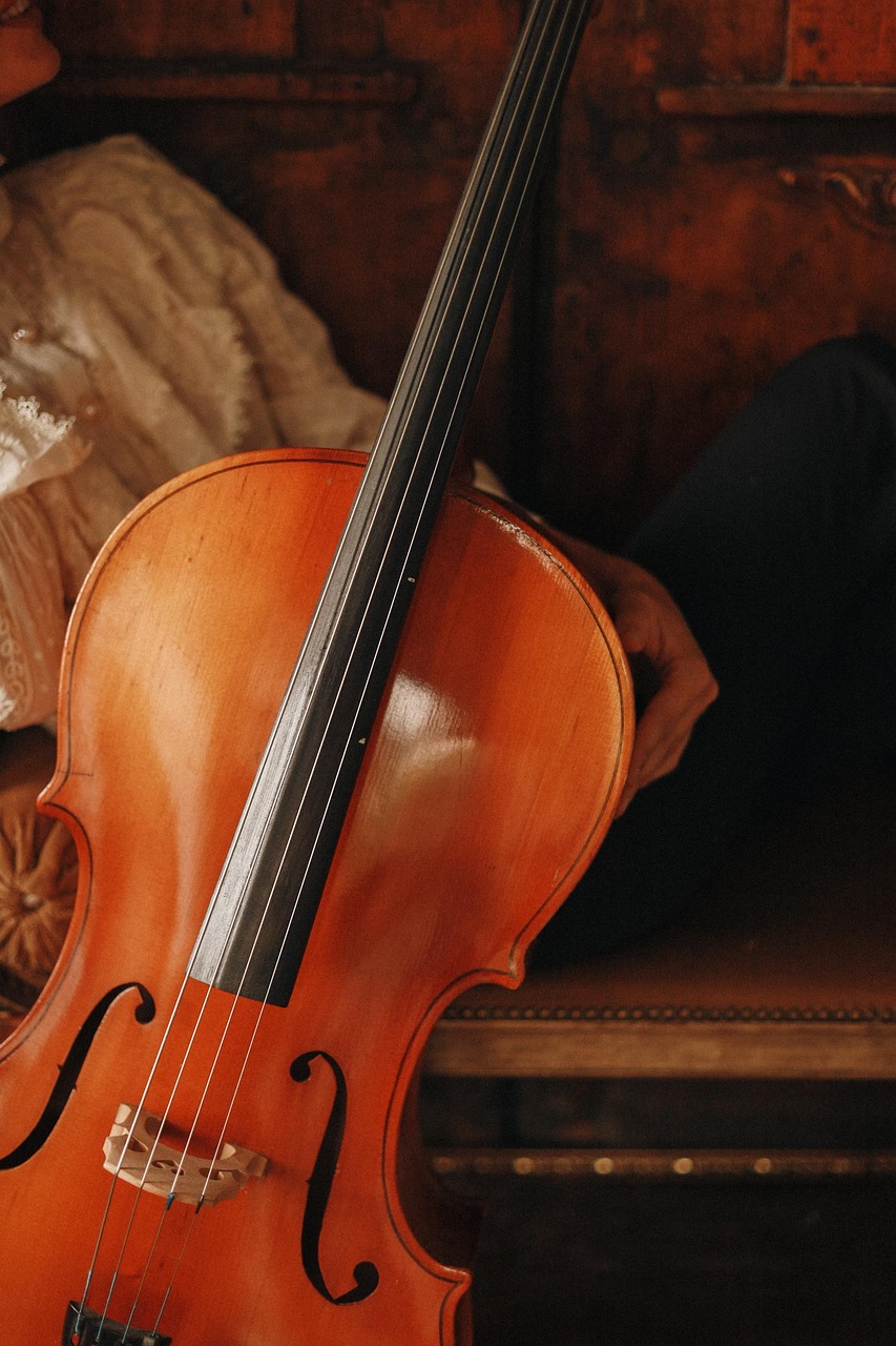 cello, music, musician, young woman, musical instrument, musical, model, woman, portrait