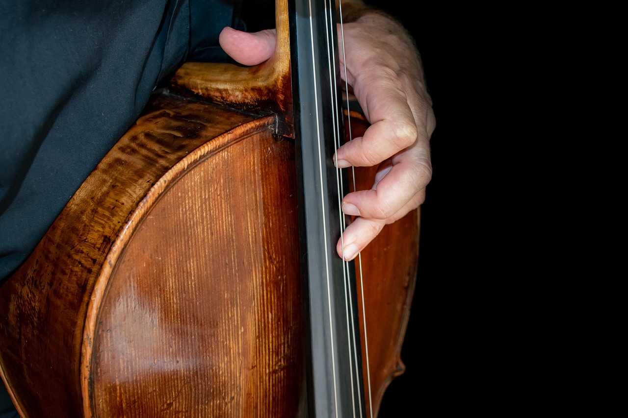 cello, music, instrument, violin, strings, sound, symphony, musician, talent, melody, bass, cellist, jazz, musical instrument, soloist, stringed bowed instrument, violoncello, play cello, cello strings, fingers, fingerboard, music theme, cello, cello, cello, cello, cello, violin, symphony, symphony, symphony, talent, talent, talent, talent, fingerboard