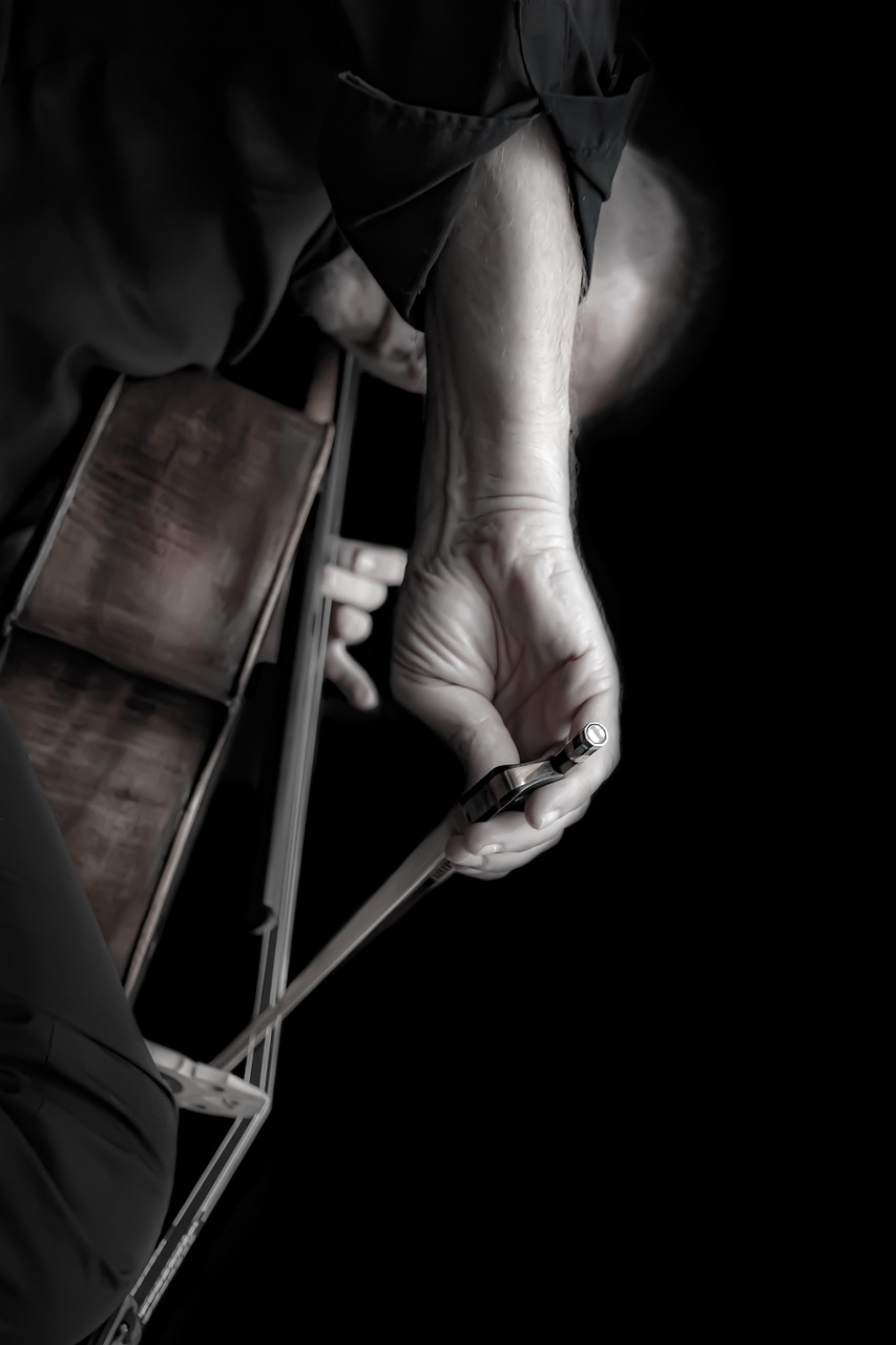 cellist, cello, music, instrument, bass, violin, artist, classical, violoncello, cello bow, soloist, classical music, musician, passion, musical performance, musical instrument