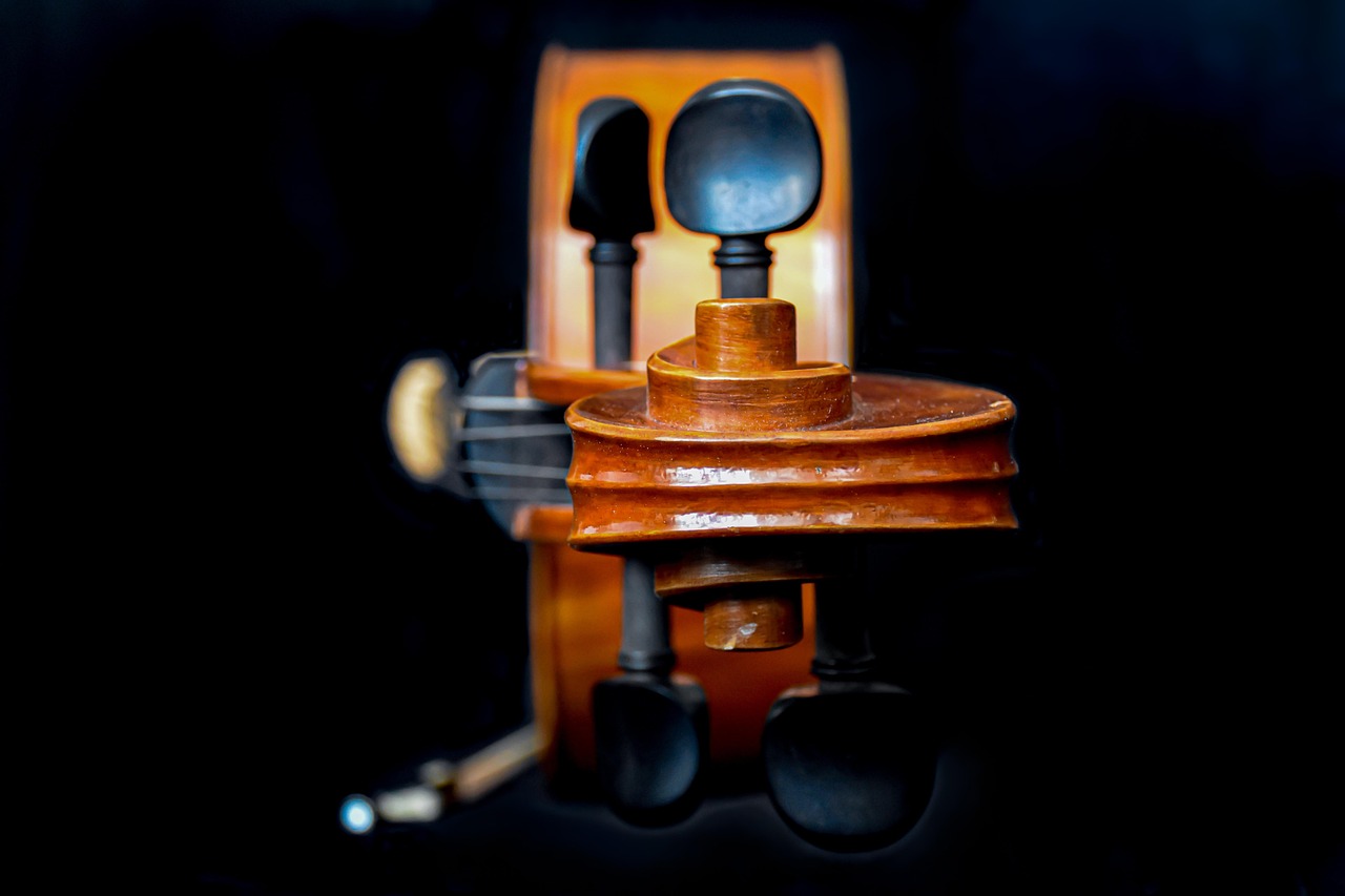instrument, cello, music, melody, string instrument, raritet, harmony, violin, musical instrument, bowed stringed instrument, antiquie cello, cello, cello, cello, violin, violin, violin, violin, violin