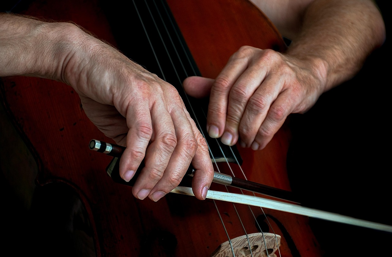 cello, violoncello, musical instrument, cello bow, playing music, stringed instrument, jazz, musician, passion to music, passionate, music background, cellist, fingers, music performance, bass, contrabass, tango, without words, artsy, musical composition, focused, accompaniment, solo, concert, symphony, cello, cello, cello, cello, cello, violoncello, violoncello, violoncello, violoncello, violoncello, cellist, tango, symphony